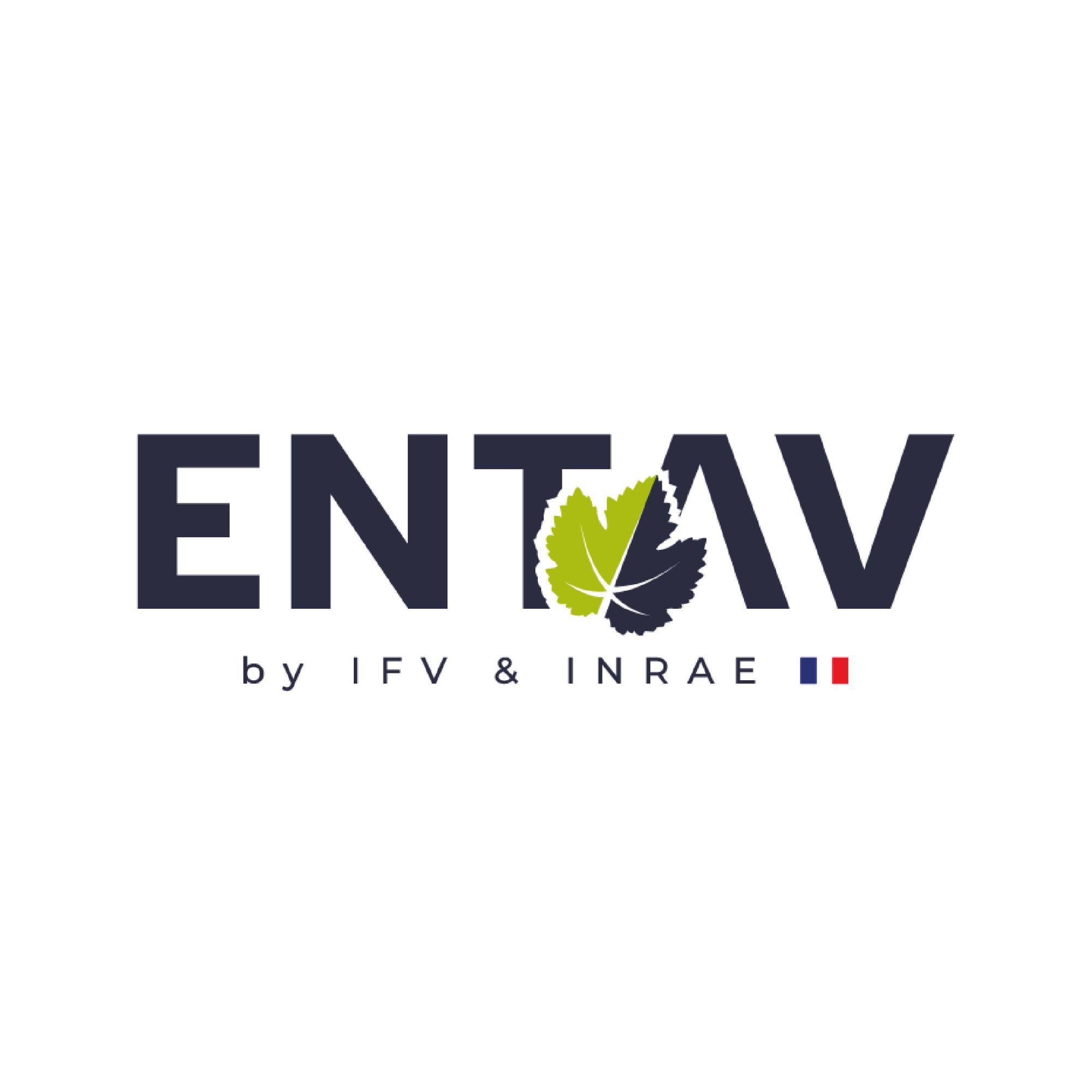 entav